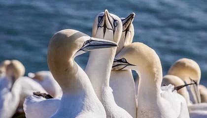 kaiyun官方入口登录-职业联赛媒体传播方式未贴近年轻群体