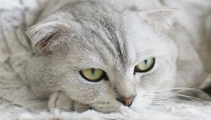 kaiyun官方入口登录-职业联赛媒体传播方式未贴近年轻群体